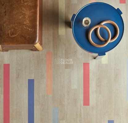 Forbo Eternal Wood 10132 bright colourful planks фото 3 | FLOORDEALER
